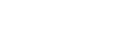 IT Nut DNS Tool